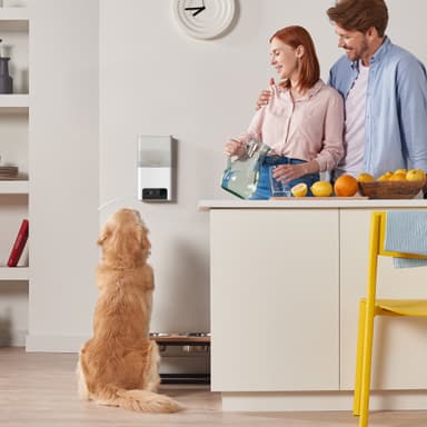 Petcube Bites 2 Lite kamera