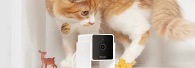 Petcube Cam lemmikkikamera