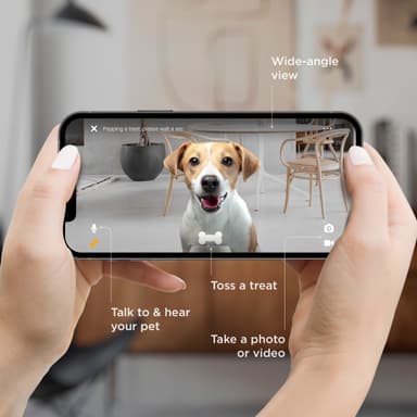 Petcube Bites 2 Lite kamera