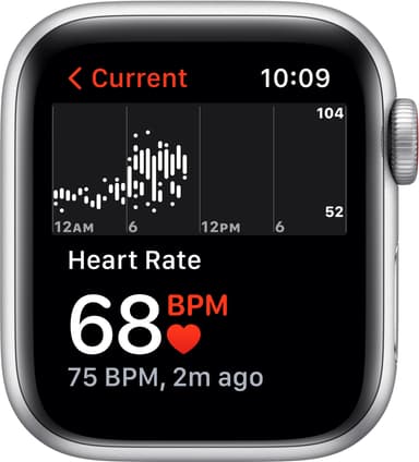 Apple Watch Nike SE 40mm GPS+Cellular (hopea/platinanvalk. ranneke)
