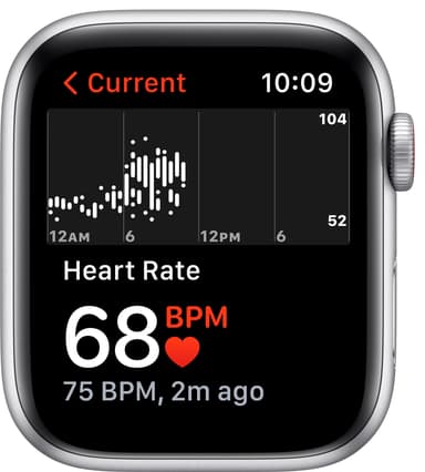 Apple Watch Nike SE 44mm GPS+Cellular (hopea/platinanvalk. ranneke)