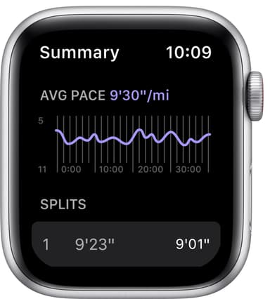 Apple Watch Nike SE 44mm GPS+Cellular (hopea/platinanvalk. ranneke)