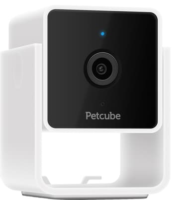 Petcube Cam lemmikkikamera