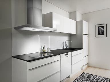 Savo dCH-6509-S2 liesikupu 90 cm teräs