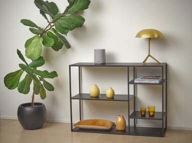 Harman Kardon Citation ONE MK3 kaiutin (harmaa)
