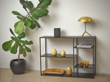 Harman Kardon Citation ONE MK3 kaiutin (musta)