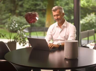 Harman Kardon Citation ONE MK3 kaiutin (harmaa)