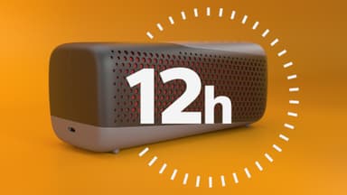 Philips S4807 langaton kannettava kaiutin (musta)