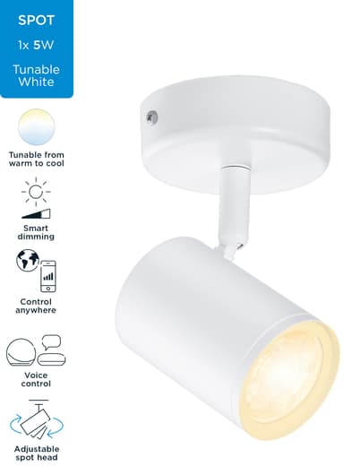 WiZ Imageo spottivalo 929002658101