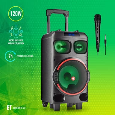Juhlikaiutin Wilddub0 120 W akku BT TWS mic-in