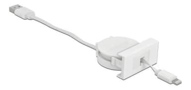 Sisäänvedettävä Delock Easy 45 -moduuli USB 2.0 -kaapeli, USB Type-A-8 Pin Li