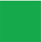 Cricut Infusible Ink siirtoarkit (2 kpl, kirkkaan vihreä)