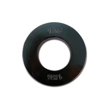 Titan LIFE Painolevy 50 mm Teräs, Levypainot Rauta 1 kg