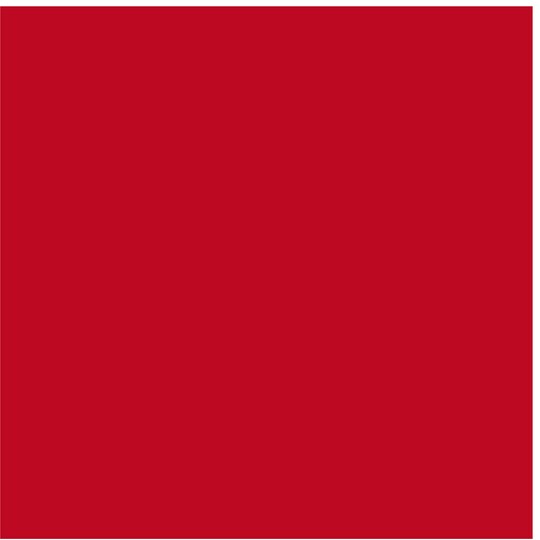 Cricut SportFlex Iron-On sheet 30x60 cm (punainen)