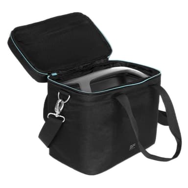EcoFlow bag for River power station