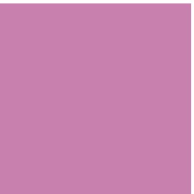 Cricut Smart Sticker kartonkiarkit 10 kpl (pastellit)