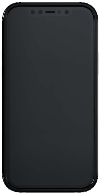 R&F iPhone 12 Pro Max suojakuori (tangeriini)