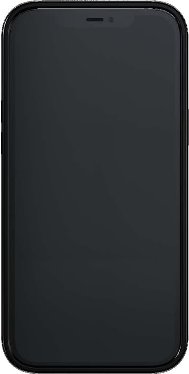 R&F iPhone 12 Pro Max suojakuori (sininen aprikoosi)