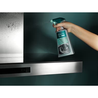 Electrolux teräksen puhdistusaine 9029799450 (suihke)