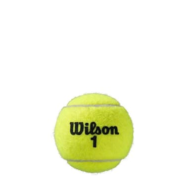 Wilson Roland Garros Clay Court, Tennis pallot