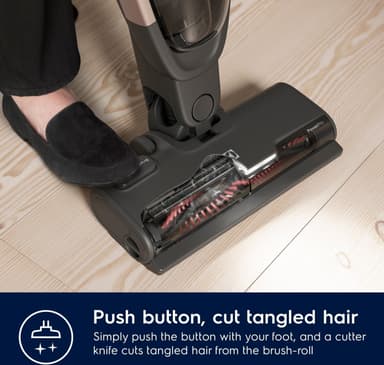 ELECTROLU 100074401 Stick vacu