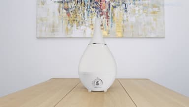 Air&Me Gota ilmankostutin HygroSmart toiminnolla ja kosteussäätimellä, valkoinen