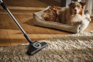 Miele turbosuulake STB3053