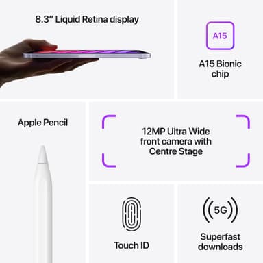 iPad mini (2021) 64 GB WiFi + Cellular (pinkki)