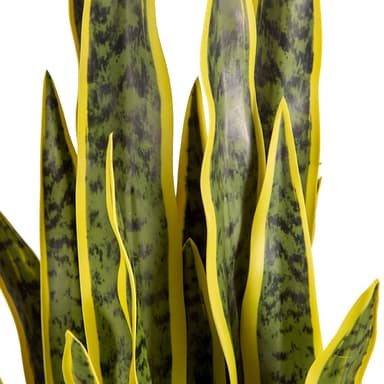 Lykke Tekokasvi Snake Plant 65cm