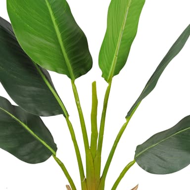 Lykke Tekokasvi Strelitzia Tree 90cm