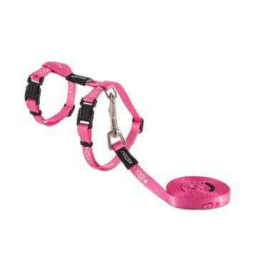 Kissan valjaat hihnalla kiddycat vaaleanpunaiset sydämet 24-40cm/1,8m, Rogz