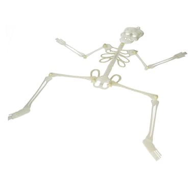 Runko 75 cm