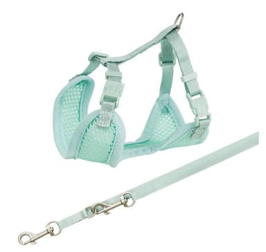 Junioripentujen pehmeät valjaat hihnalla, 26-34 cm/10 mm, 2,00 m, minttu