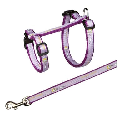 Kissan valjaat hihnalla, XL, nylon, 34-57 cm/13 mm, 1,20 m