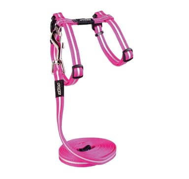 Kissan valjaat hihnalla alleycat pinkki 24-40cm/1,8m, Rogz