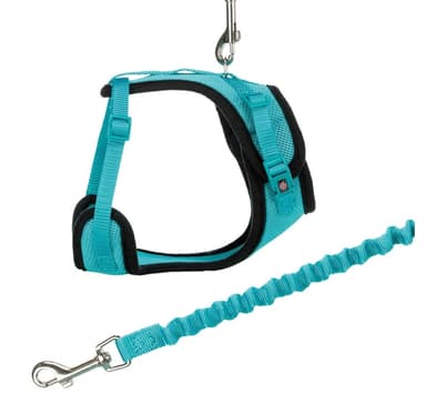 Y-valjaat, verkko, kissa, joustavalla talutushihnalla, 39-60 cm/10 mm, 1,00 m