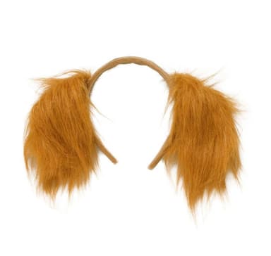 Pääpanta (koira)