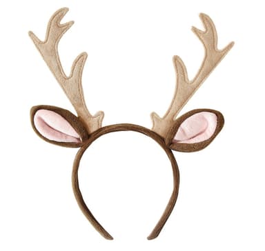 Pääpanta Poro