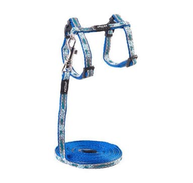 Kissan valjaat hihnalla yökissansininen kukka 24-40cm/1,8m, Rogz