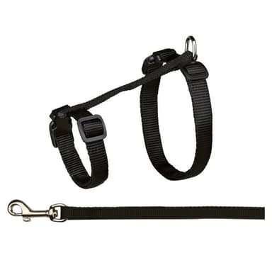 Kissan valjaat hihnalla, XL, nylon, 34-57 cm/13 mm, 1,20 m