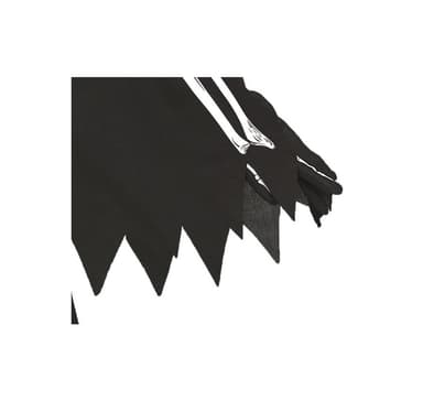 Poncho Skeleton L