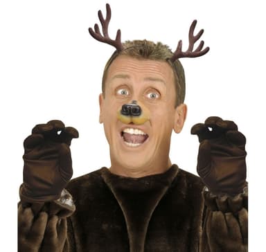 Hirvensarvet hiuspanta