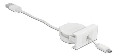 Sisäänvedettävä Delock Easy 45 -moduuli USB 2.0 -kaapeli, USB Type-A-EASY-USB