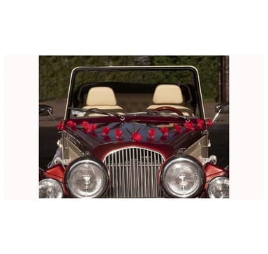 Seppele autoon 'Flowers red' 2m