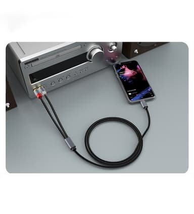 USB-C - 2x RCA-stereoäänikaapeli Harmaa