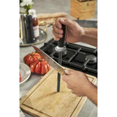 Zwilling Veitsenteroitin