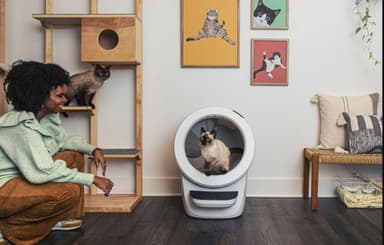 Whisker Litter-Robot 4 automaattinen kissanhiekkalaatikko - Valkoinen