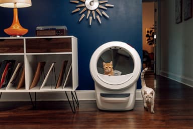 Whisker Litter-Robot 4 automaattinen kissanhiekkalaatikko - Valkoinen