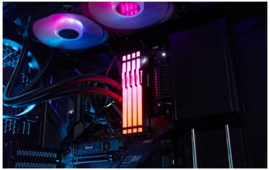 Kingston FURY Beast RGB 32 GB DDR5 RAM muisti 6000 MT/s CL36 (musta)