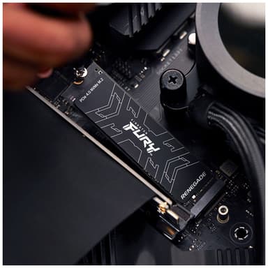Kingston FURY Renegade PCIe 4.0 NVMe M.2 sisäinen SSD muisti (1 TB)